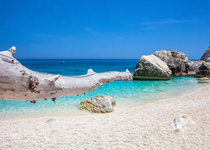 Cala Viola Apartahotel Cala Liberotto